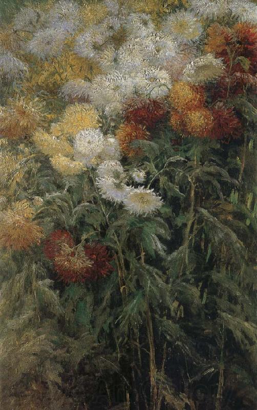 Gustave Caillebotte The chrysanthemum in the garden Norge oil painting art
